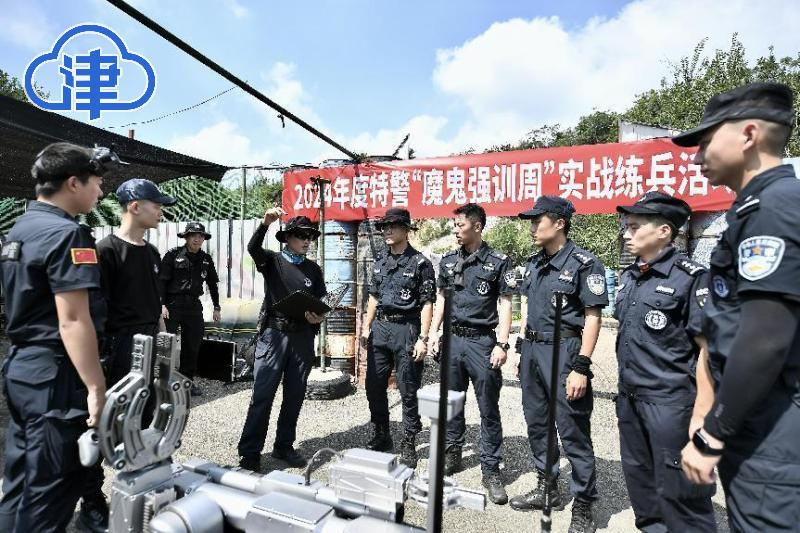 博洛尼亚壮志凌云，欲挑战强队震撼的简单介绍