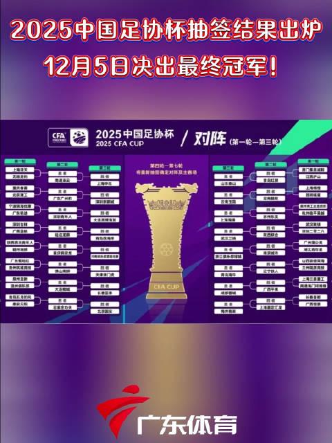 包含2025赛季中国足协杯8强对阵出炉的词条